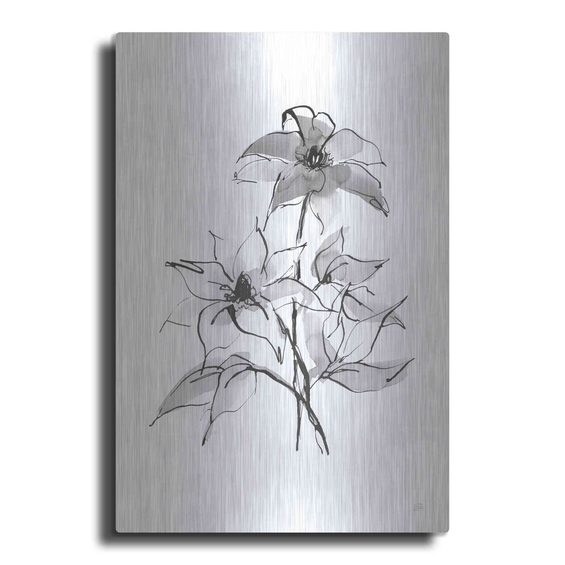Luxe Metal Art 'Wash Clematis' by Chris Paschke, Metal Wall Art
