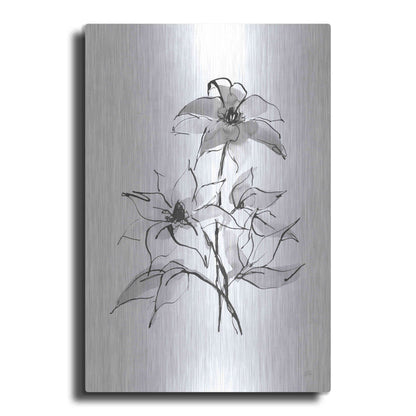 Luxe Metal Art 'Wash Clematis' by Chris Paschke, Metal Wall Art