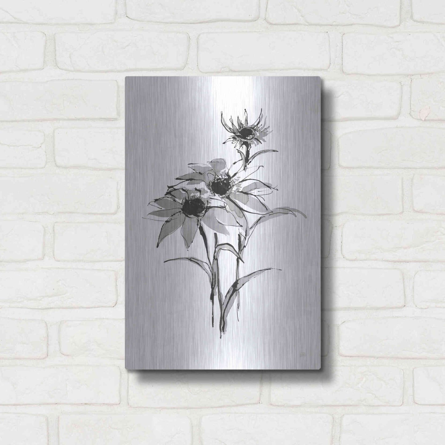 Luxe Metal Art 'Wash Echinacea I' by Chris Paschke, Metal Wall Art,12x16