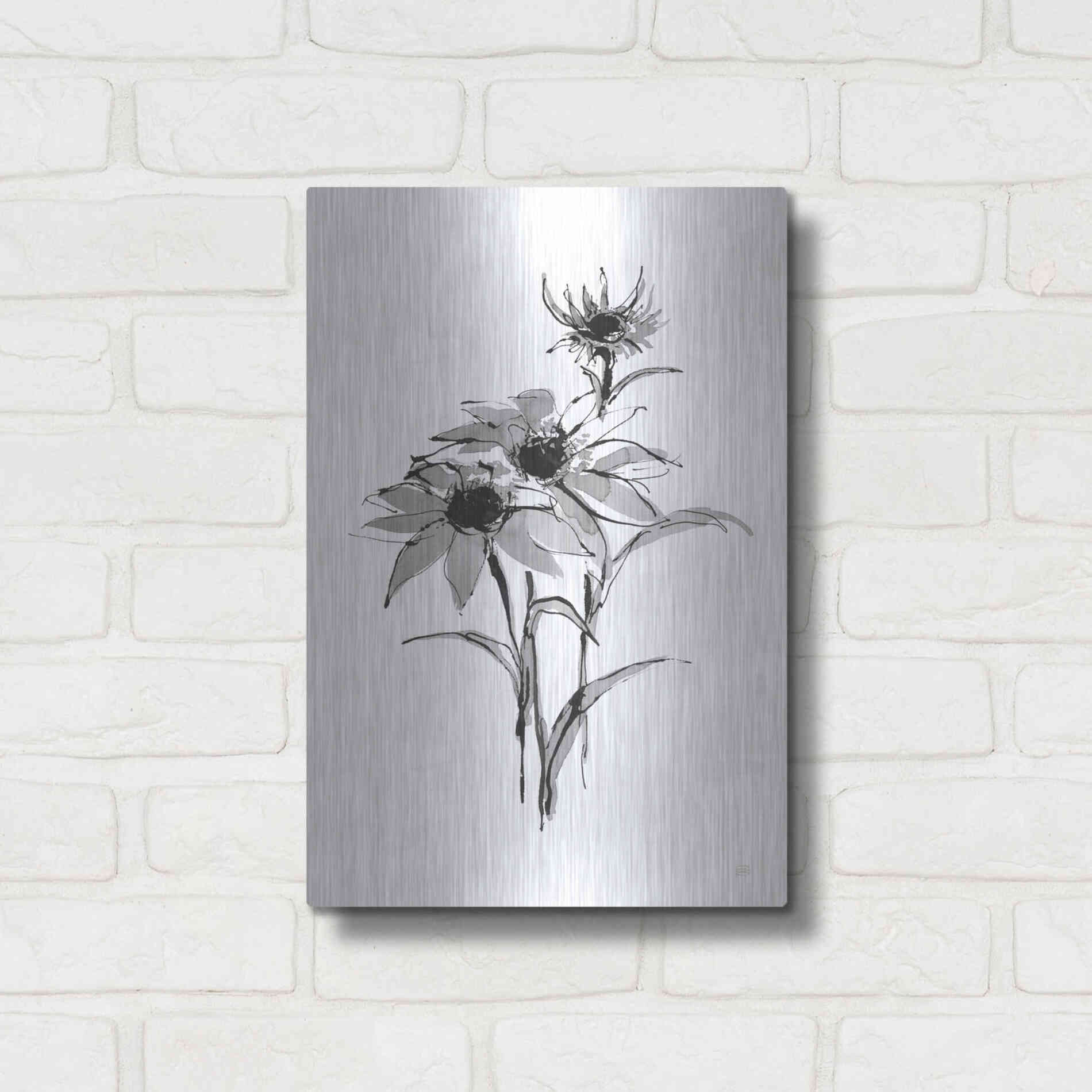 Luxe Metal Art 'Wash Echinacea I' by Chris Paschke, Metal Wall Art,12x16