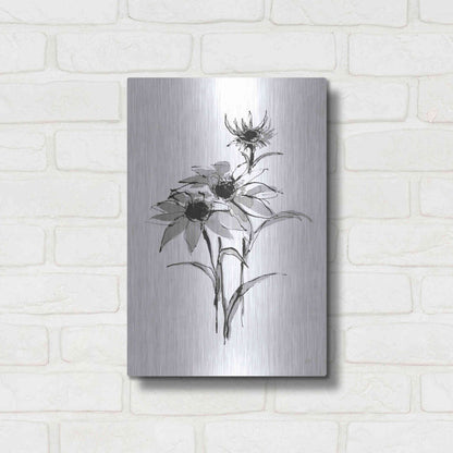 Luxe Metal Art 'Wash Echinacea I' by Chris Paschke, Metal Wall Art,12x16