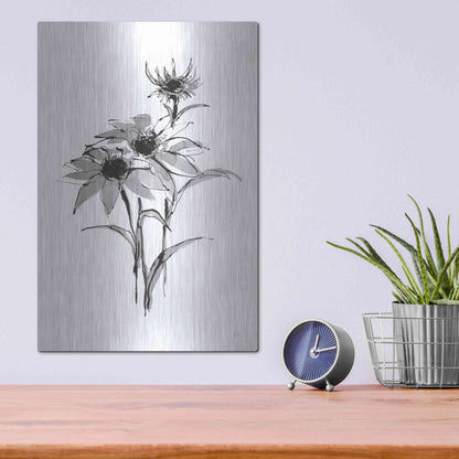 Luxe Metal Art 'Wash Echinacea I' by Chris Paschke, Metal Wall Art,12x16