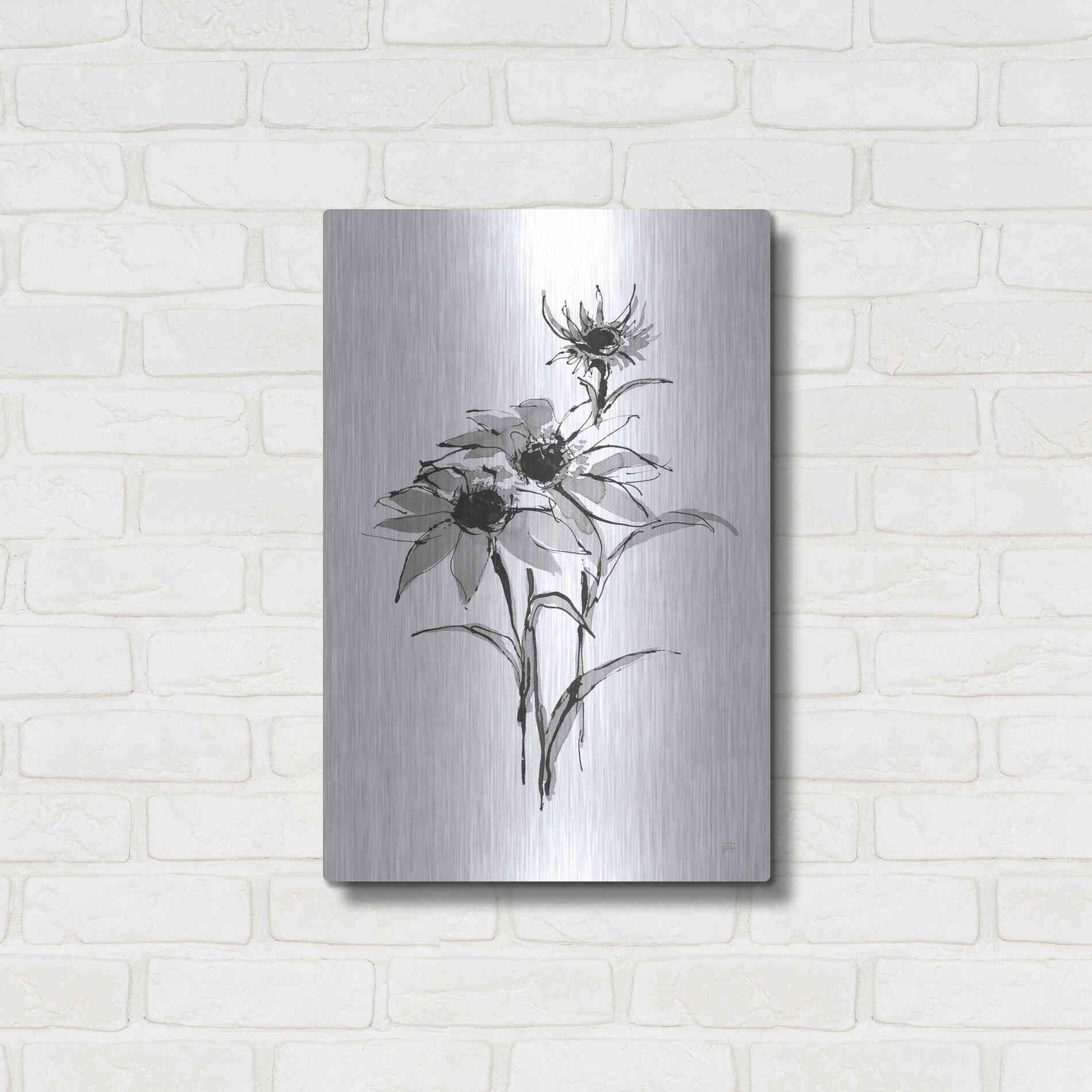 Luxe Metal Art 'Wash Echinacea I' by Chris Paschke, Metal Wall Art,16x24