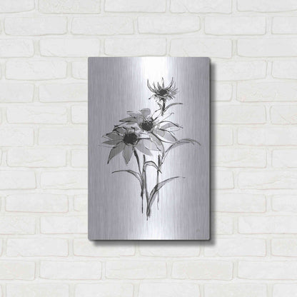 Luxe Metal Art 'Wash Echinacea I' by Chris Paschke, Metal Wall Art,16x24