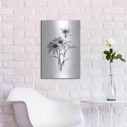 Luxe Metal Art 'Wash Echinacea I' by Chris Paschke, Metal Wall Art,16x24