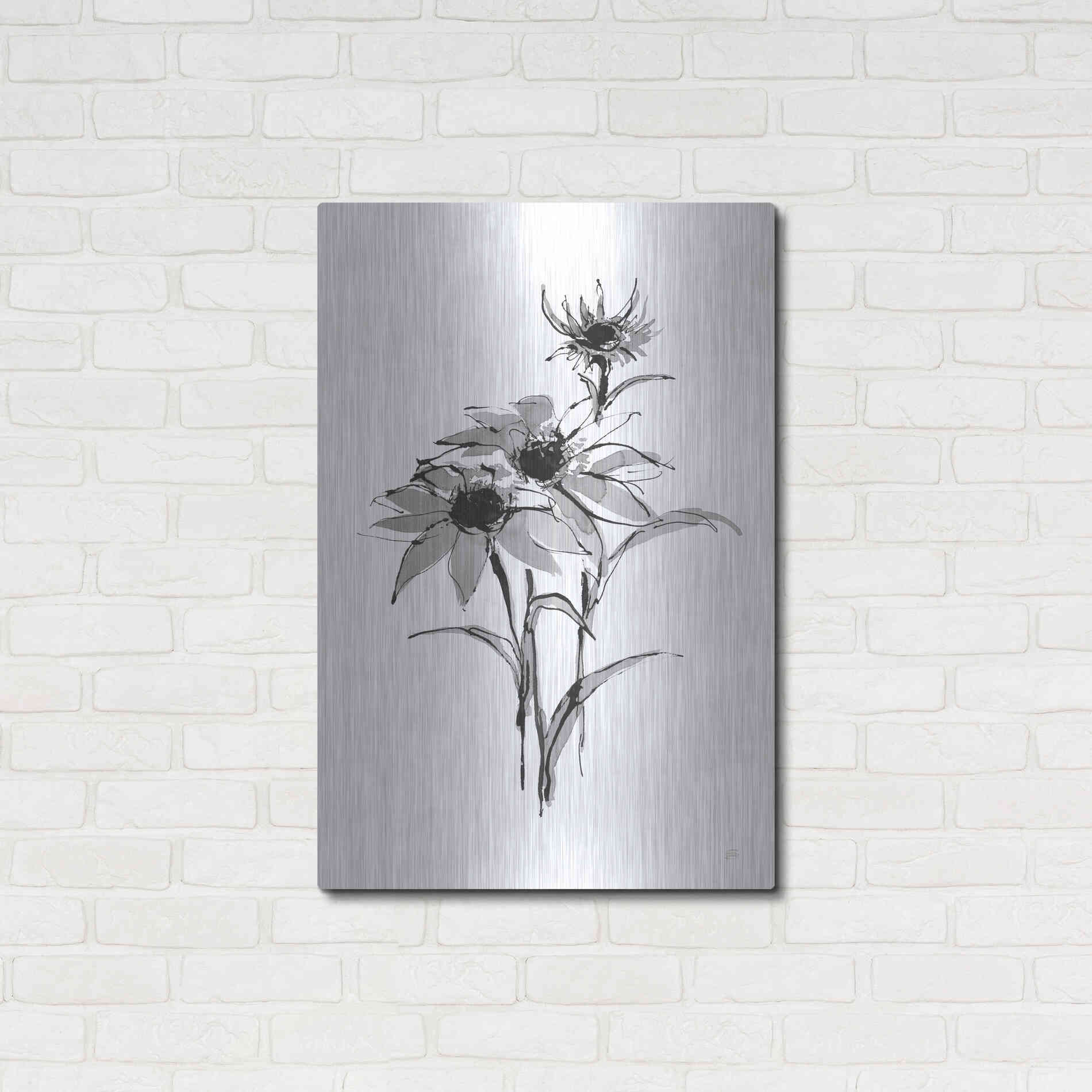 Luxe Metal Art 'Wash Echinacea I' by Chris Paschke, Metal Wall Art,24x36
