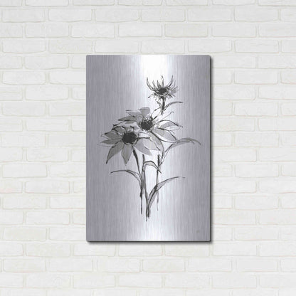 Luxe Metal Art 'Wash Echinacea I' by Chris Paschke, Metal Wall Art,24x36