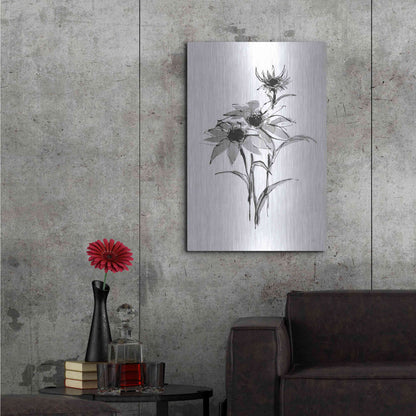 Luxe Metal Art 'Wash Echinacea I' by Chris Paschke, Metal Wall Art,24x36