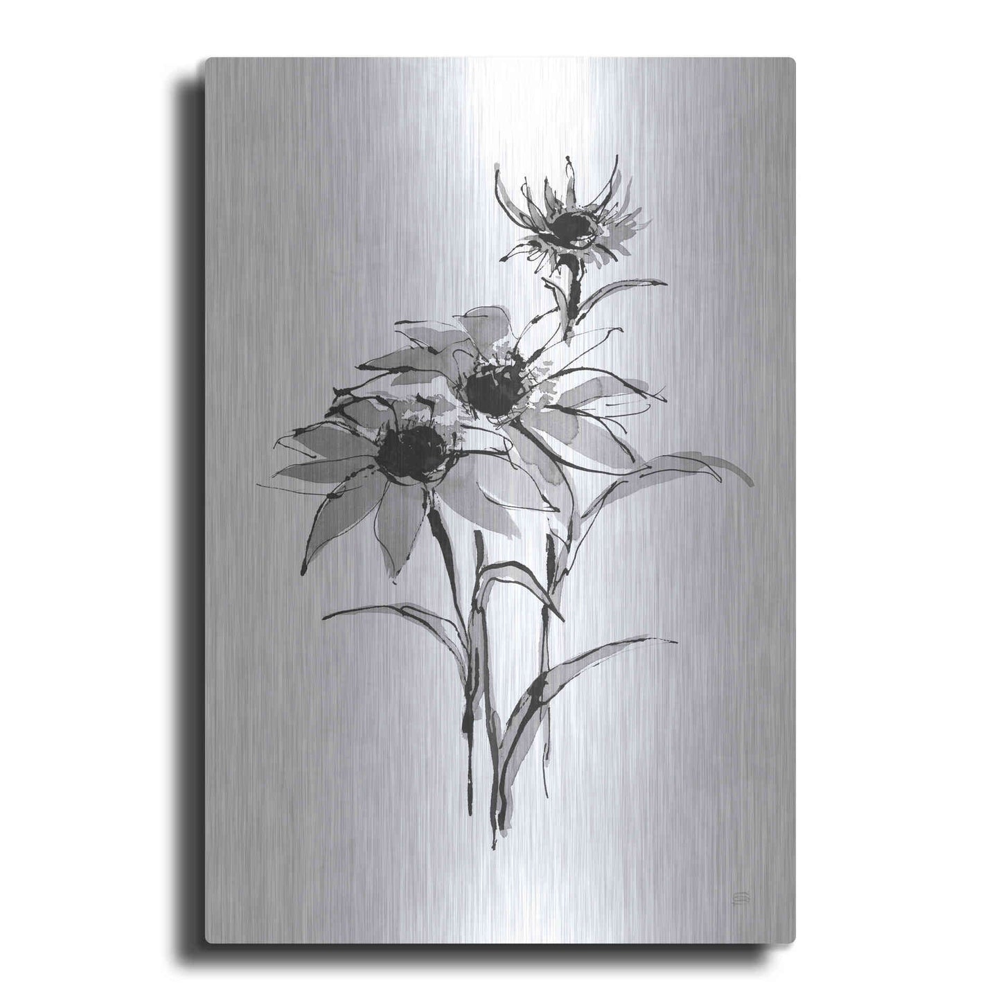 Luxe Metal Art 'Wash Echinacea I' by Chris Paschke, Metal Wall Art
