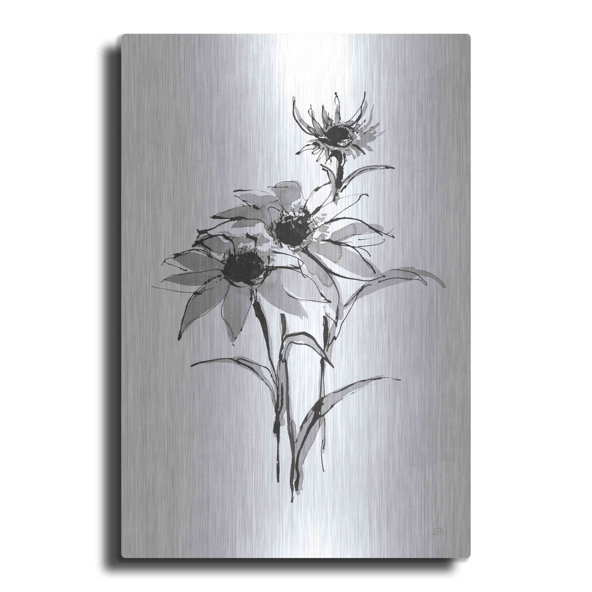 Luxe Metal Art 'Wash Echinacea I' by Chris Paschke, Metal Wall Art