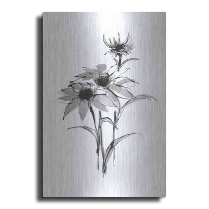 Luxe Metal Art 'Wash Echinacea I' by Chris Paschke, Metal Wall Art