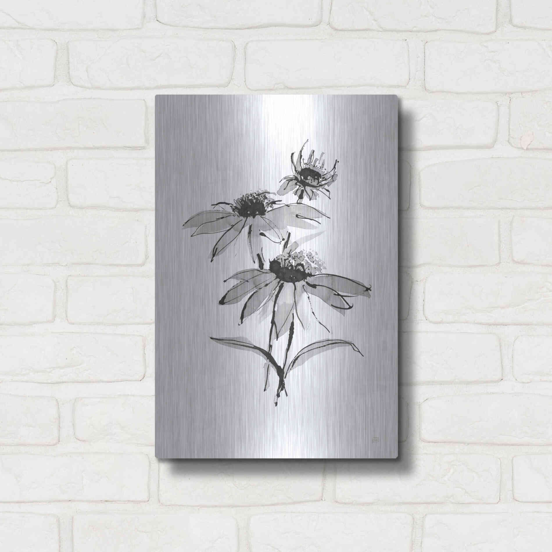 Luxe Metal Art 'Wash Echinacea II' by Chris Paschke, Metal Wall Art,12x16