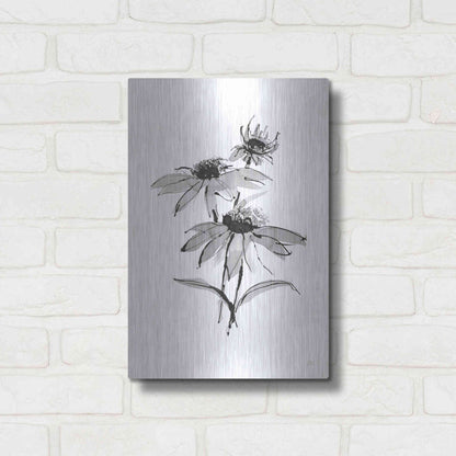 Luxe Metal Art 'Wash Echinacea II' by Chris Paschke, Metal Wall Art,12x16