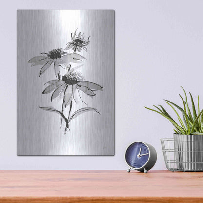 Luxe Metal Art 'Wash Echinacea II' by Chris Paschke, Metal Wall Art,12x16
