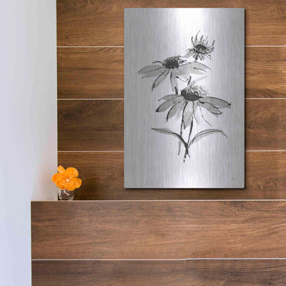 Luxe Metal Art 'Wash Echinacea II' by Chris Paschke, Metal Wall Art,12x16