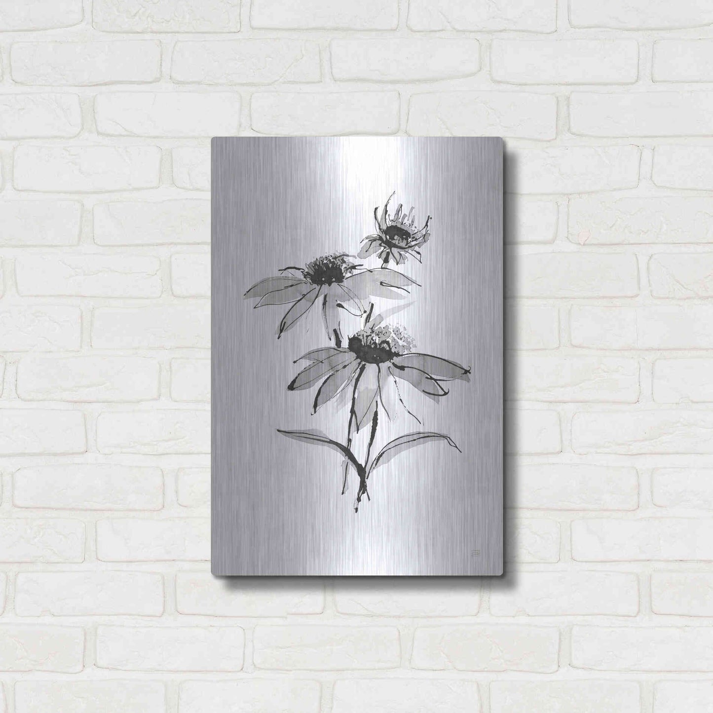 Luxe Metal Art 'Wash Echinacea II' by Chris Paschke, Metal Wall Art,16x24