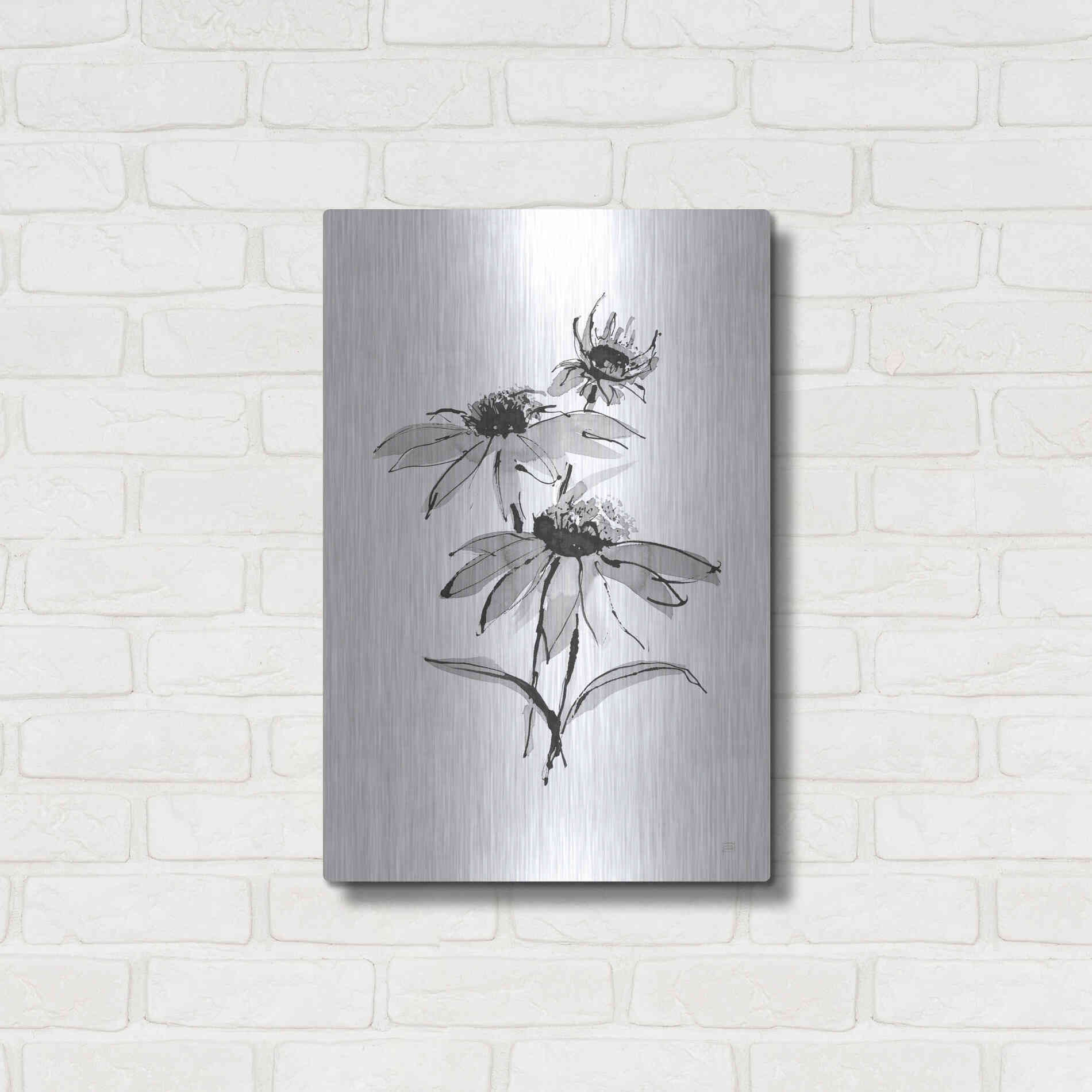 Luxe Metal Art 'Wash Echinacea II' by Chris Paschke, Metal Wall Art,16x24