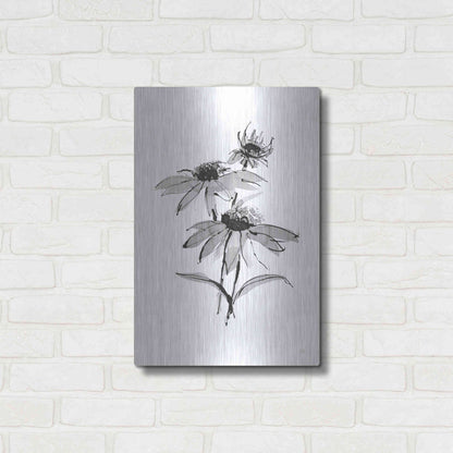 Luxe Metal Art 'Wash Echinacea II' by Chris Paschke, Metal Wall Art,16x24