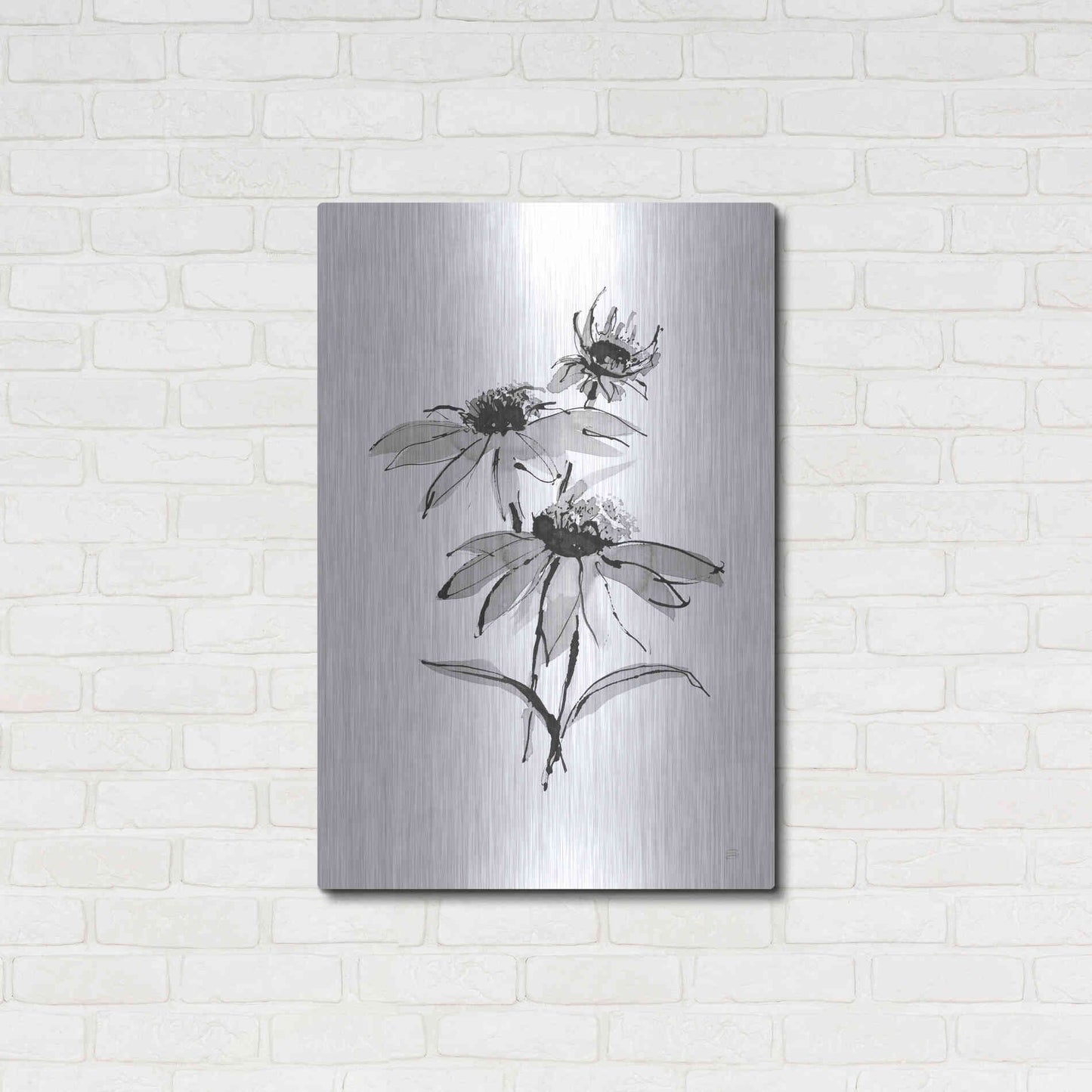 Luxe Metal Art 'Wash Echinacea II' by Chris Paschke, Metal Wall Art,24x36