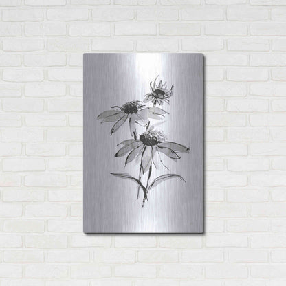 Luxe Metal Art 'Wash Echinacea II' by Chris Paschke, Metal Wall Art,24x36