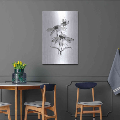 Luxe Metal Art 'Wash Echinacea II' by Chris Paschke, Metal Wall Art,24x36