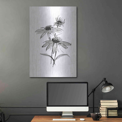 Luxe Metal Art 'Wash Echinacea II' by Chris Paschke, Metal Wall Art,24x36