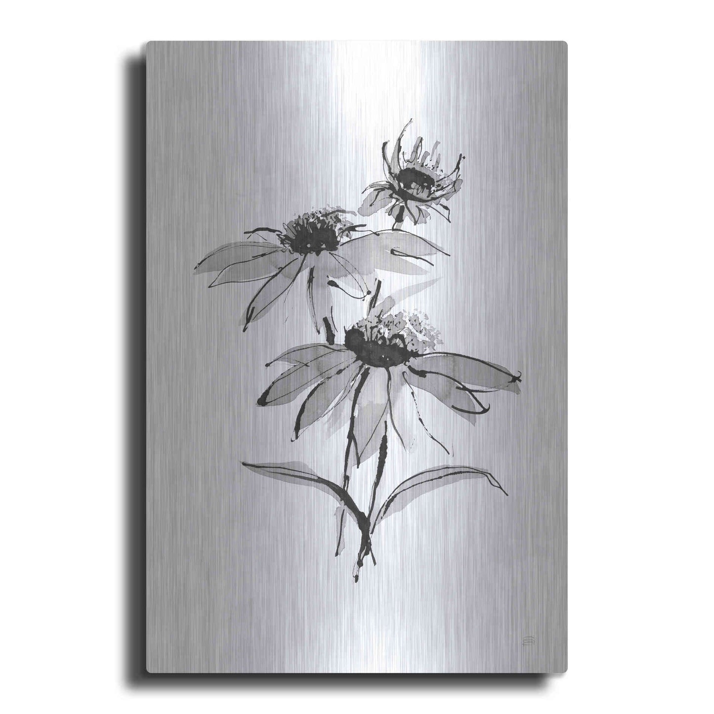Luxe Metal Art 'Wash Echinacea II' by Chris Paschke, Metal Wall Art