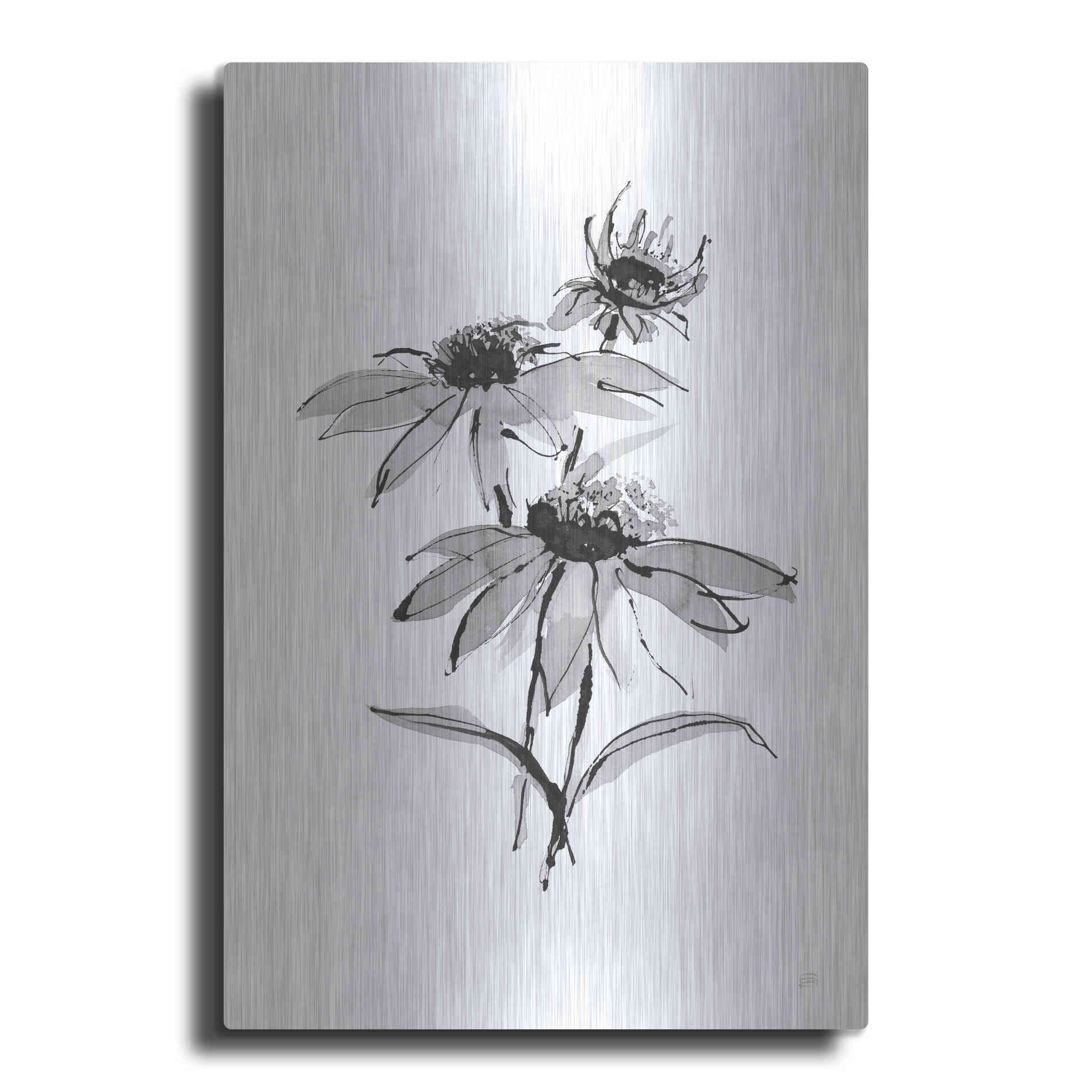 Luxe Metal Art 'Wash Echinacea II' by Chris Paschke, Metal Wall Art
