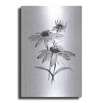 Luxe Metal Art 'Wash Echinacea II' by Chris Paschke, Metal Wall Art