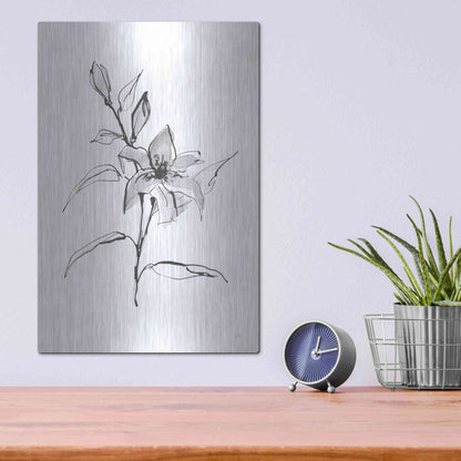 Luxe Metal Art 'Wash Tiger Lily' by Chris Paschke, Metal Wall Art,12x16