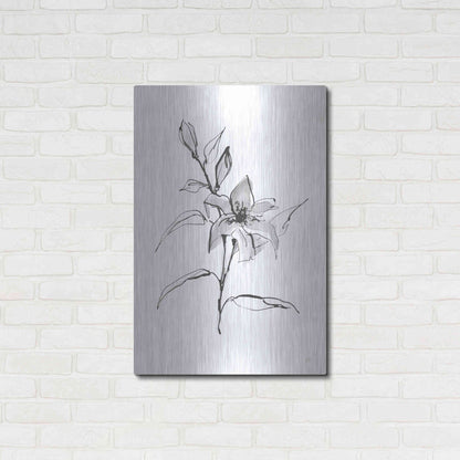 Luxe Metal Art 'Wash Tiger Lily' by Chris Paschke, Metal Wall Art,24x36