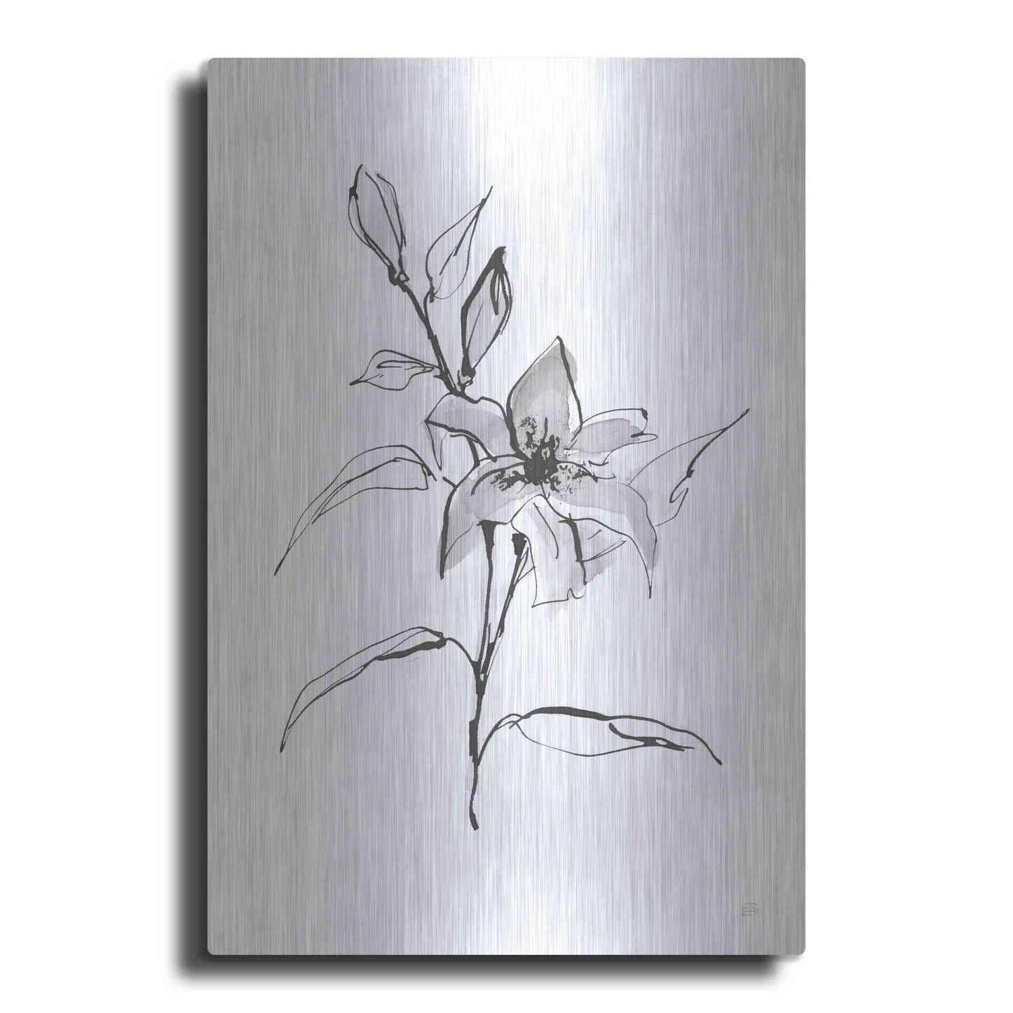 Luxe Metal Art 'Wash Tiger Lily' by Chris Paschke, Metal Wall Art