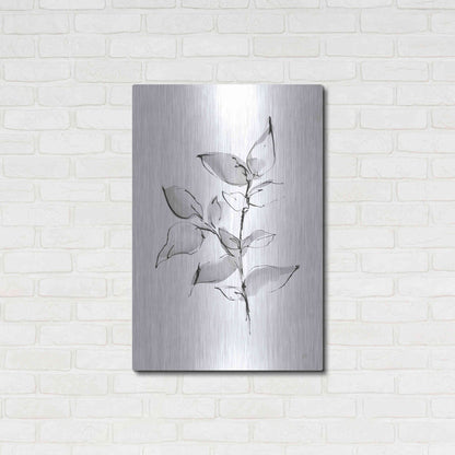 Luxe Metal Art 'Wash Leaf II' by Chris Paschke, Metal Wall Art,24x36