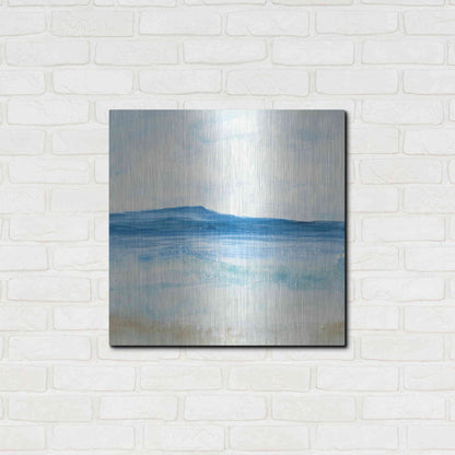 Luxe Metal Art 'Coastal II' by Chris Paschke, Metal Wall Art,24x24