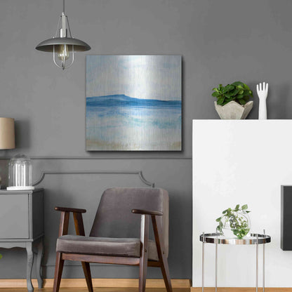 Luxe Metal Art 'Coastal II' by Chris Paschke, Metal Wall Art,24x24