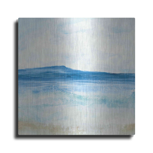 Luxe Metal Art 'Coastal II' by Chris Paschke, Metal Wall Art