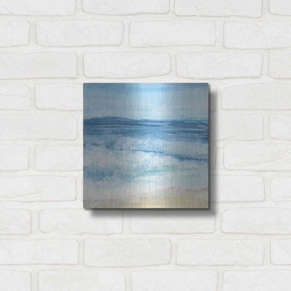 Luxe Metal Art 'Coastal III' by Chris Paschke, Metal Wall Art,12x12