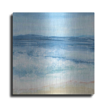 Luxe Metal Art 'Coastal III' by Chris Paschke, Metal Wall Art