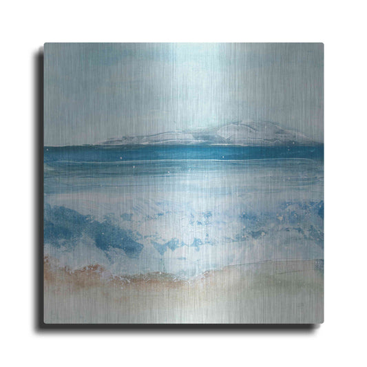 Luxe Metal Art 'Coastal IV' by Chris Paschke, Metal Wall Art