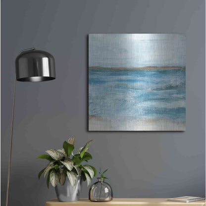 Luxe Metal Art 'Coastal V' by Chris Paschke, Metal Wall Art,24x24