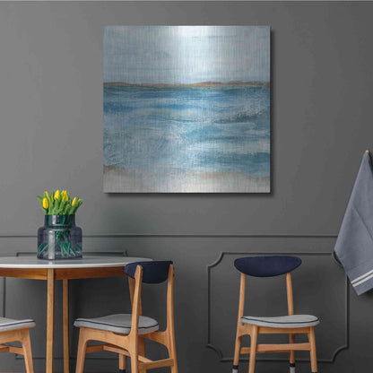 Luxe Metal Art 'Coastal V' by Chris Paschke, Metal Wall Art,36x36