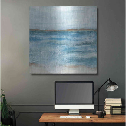 Luxe Metal Art 'Coastal V' by Chris Paschke, Metal Wall Art,36x36