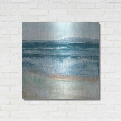Luxe Metal Art 'Coastal VI' by Chris Paschke, Metal Wall Art,36x36