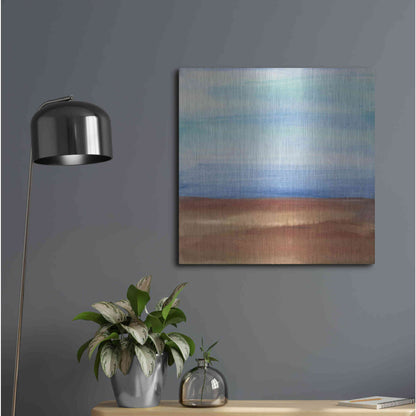 Luxe Metal Art 'Sandy Ridge I' by Chris Paschke, Metal Wall Art,24x24