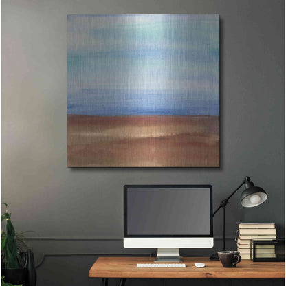 Luxe Metal Art 'Sandy Ridge I' by Chris Paschke, Metal Wall Art,36x36