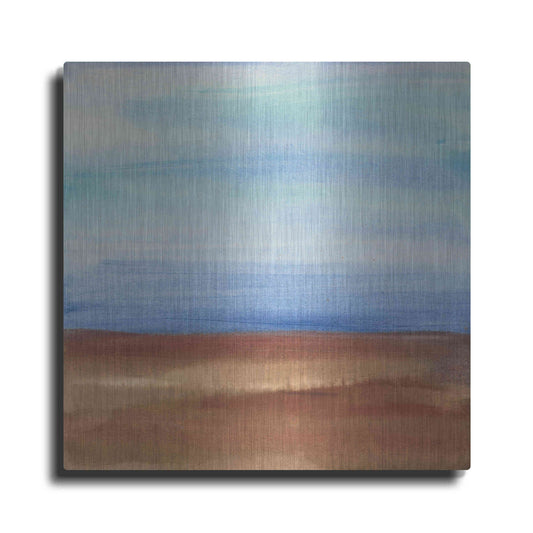 Luxe Metal Art 'Sandy Ridge I' by Chris Paschke, Metal Wall Art