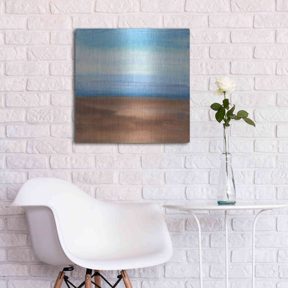 Luxe Metal Art 'Sandy Ridge II' by Chris Paschke, Metal Wall Art,24x24