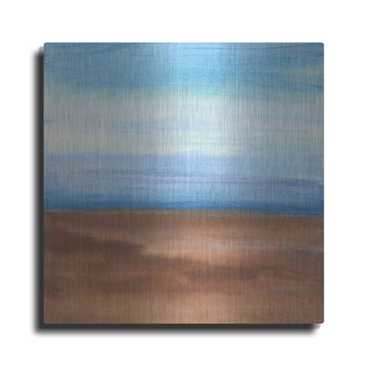 Luxe Metal Art 'Sandy Ridge II' by Chris Paschke, Metal Wall Art