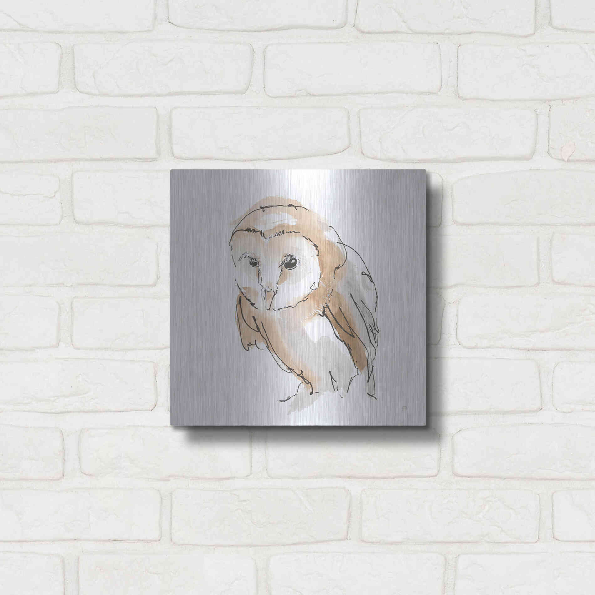 Luxe Metal Art 'Barn Owl I' by Chris Paschke, Metal Wall Art,12x12