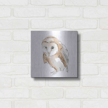 Luxe Metal Art 'Barn Owl I' by Chris Paschke, Metal Wall Art,12x12
